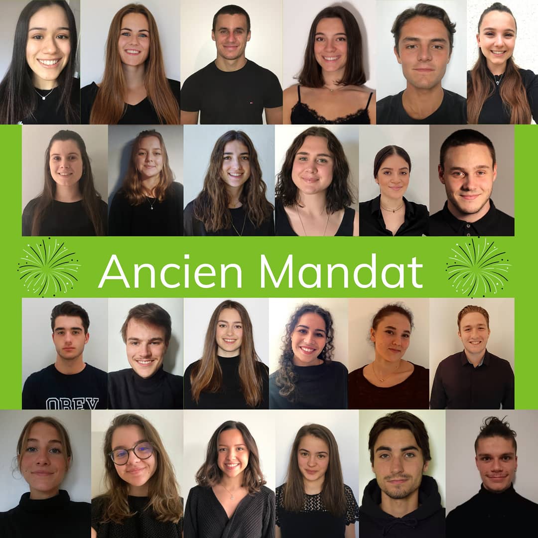 Agro Projets Etudes tweet media