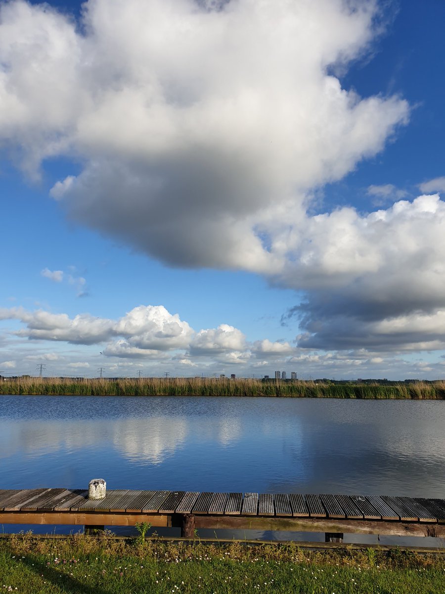Op locatie met <a href="/maartenmiller/">Maarten Molenaar</a> ..