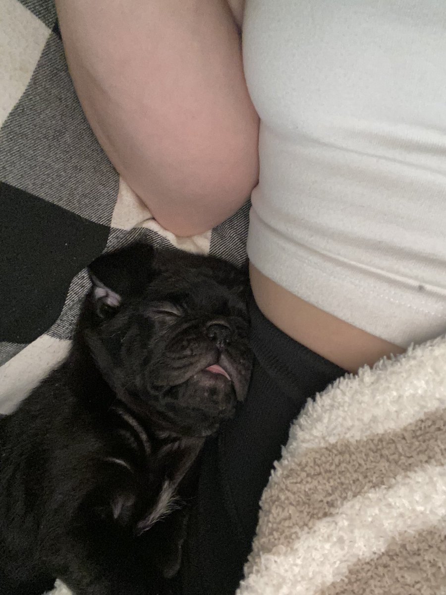 camslurrr's tweet photo. New addition to our family, Benjamin aka Benny. Our sweet little Pug 🤍 https://t.co/EWP78igZN7
