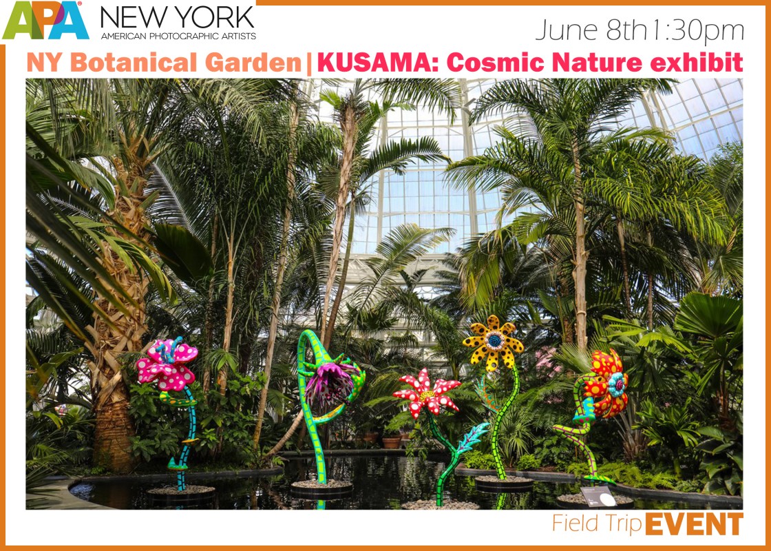 June 8: APA Field Trip to KUSAMA: Cosmic Nature at the New York Botanical Garden. Join us for his unique Cover-safe get-together &amp; photo op for APA members. Tickets are limited. Register here: ny.apanational.org/events/entry/j…