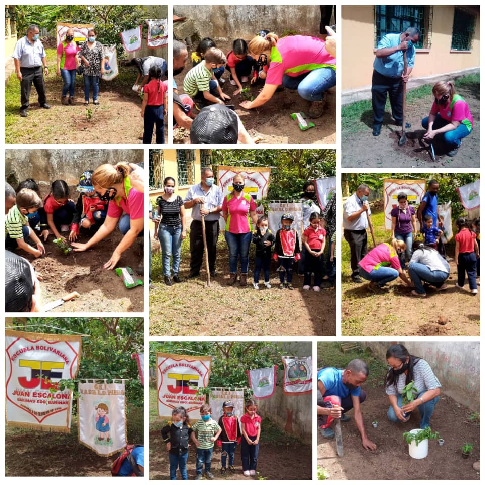 CDCEBarinas's tweet photo. #Barinas | Bosque Bicentenario Campo de Carabobo, ubicado en el CEI Maria Lorenza de Parra. Instituciones presentes: CEI Maria Lorenza de Parra, CEI Bella Barinas, UEP Semillitas del Futuro, Colegio Ntra Sra del Pilar, GE Juan Escalona, Instituto Br Elías Cordero Uzcategui. https://t.co/IBj4tv3Vt4