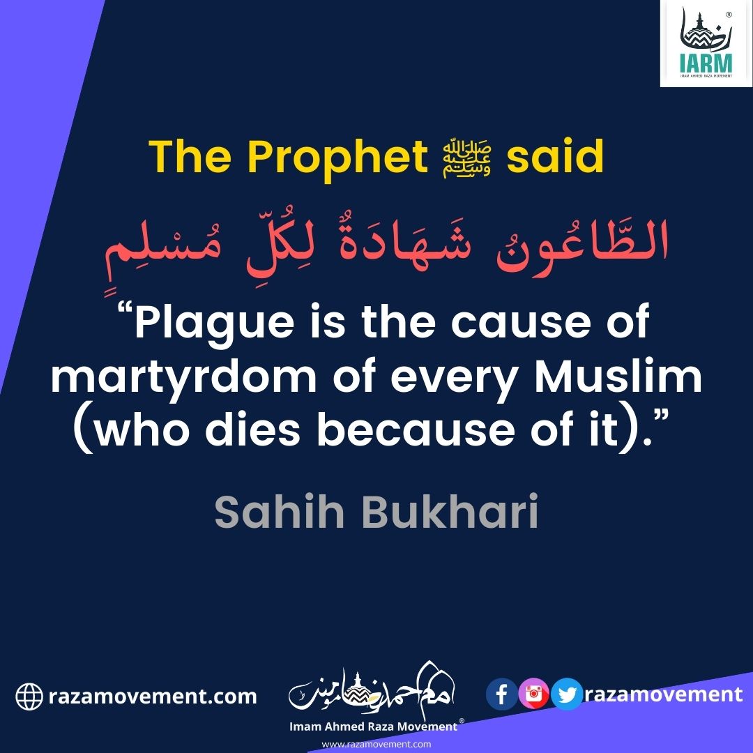 razamovement's tweet photo. Hadith on Taoon

#JummahMubarak #hadith #hadees #hadithoftheday #hadeesoftheday #hadithquotes #hadeessharif
#iarm #imamahmedrazamovement #razamovement https://t.co/paFjspfTgj