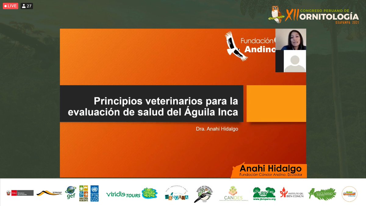 congresorniperu's tweet image. continuamos con el Simposio de #Spizaetus isidori con la Dra Anahi Hidalgo hablandonos de evaluaciones de salud del Aguila Inca! #XIICPO #Peru #Oxapampa #aves #ornitologia #aves #conservacion