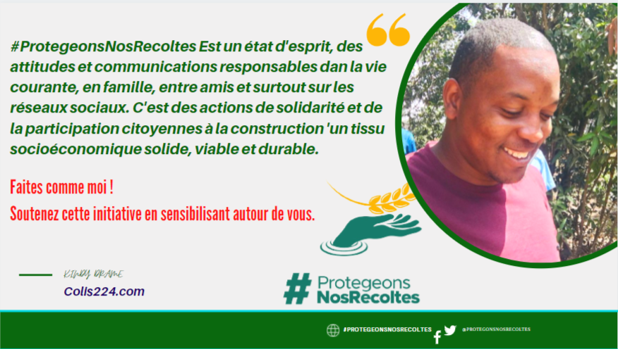 kindy Dramé tweet media