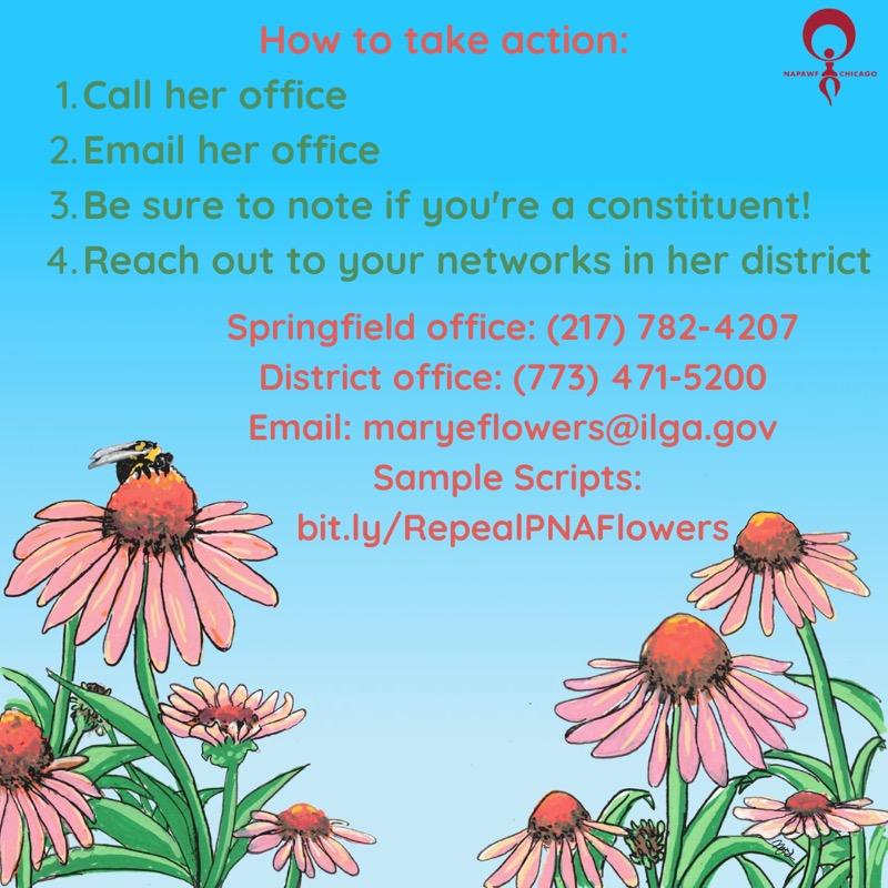 Please support NAPAWF by asking Rep. Flowers to vote YES on the bill to #RepealPNA. This law endangers youth and the obstacles it creates to abortion access have been exacerbated by the pandemic. The time to repeal this law and support youth is now! <a href="/RepMaryFlowers/">Rep. Mary Flowers</a>