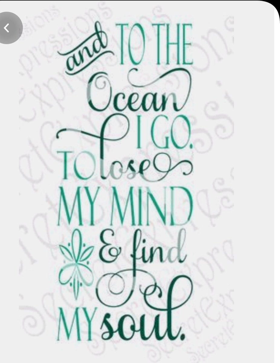 devonelliott14's tweet photo. This..I need.  💙🌊💙 #fewmoreweeks https://t.co/6JTWI89R1k
