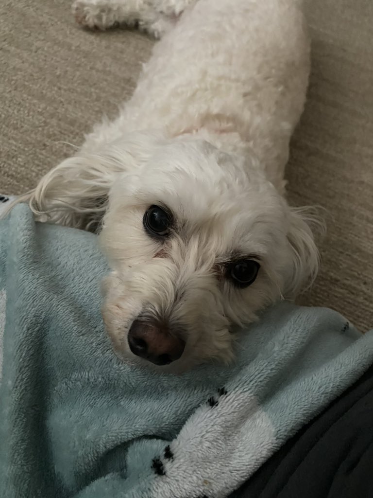 TapLHarV's tweet image. 