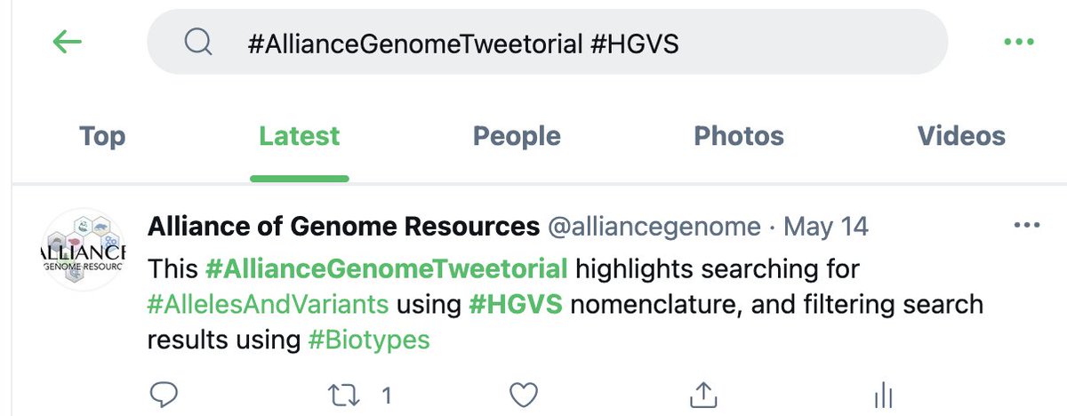 Alliance of Genome Resources (@alliancegenome) on Twitter photo Want to find a tweetorial? You can search Twitter using the hashtag #AllianceGenomeTweetorial + a hashtag for your feature of interest; this narrows your search to only tweets using both hashtags.  Helpful hint: sort by 'Latest'; 'Top' will show you only the most popular hits. Want to find a tweetorial? You can search Twitter using the hashtag #AllianceGenomeTweetorial + a hashtag for your feature of interest; this narrows your search to only tweets using both hashtags.  Helpful hint: sort by 'Latest'; 'Top' will show you only the most popular hits.