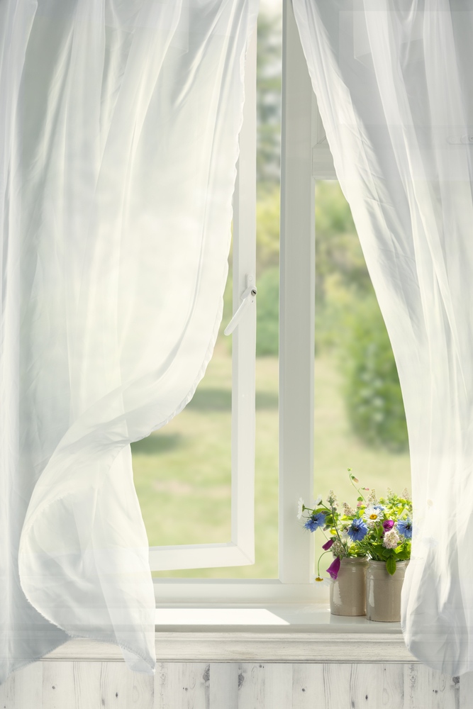 leesglass's tweet photo. Springtime flowers, a fragrant breeze through an open window, &amp; a window replacement company who isn't pushy and you know you can trust! Lovely! 🌷
Give us a call! 850-432-0865

#windowreplacements #windows #slidingglassdoor #veteranowned #pensacolabeach #gulfbreeze #Pensacola https://t.co/HOCh8oXNvy