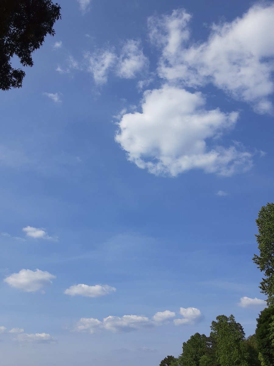 This is gorgeous! ☁️🍃