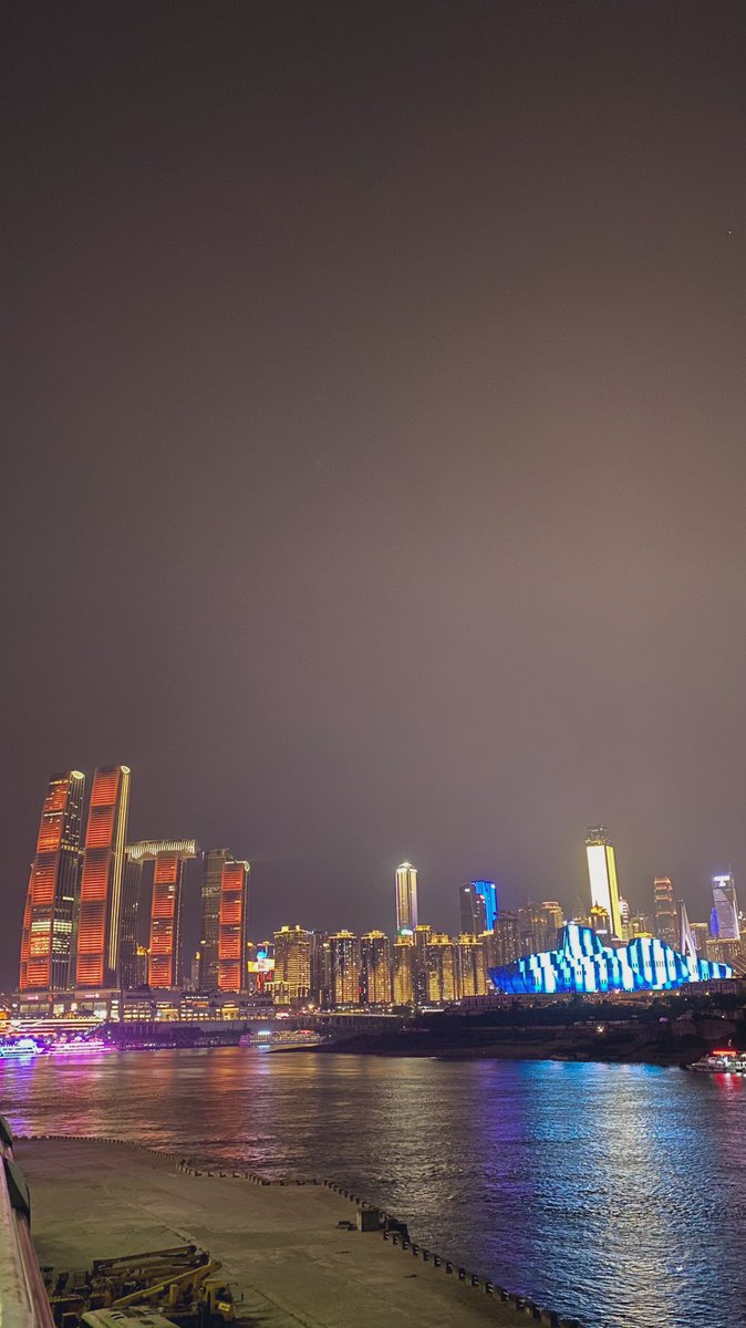 雾都小韭菜 tweet media