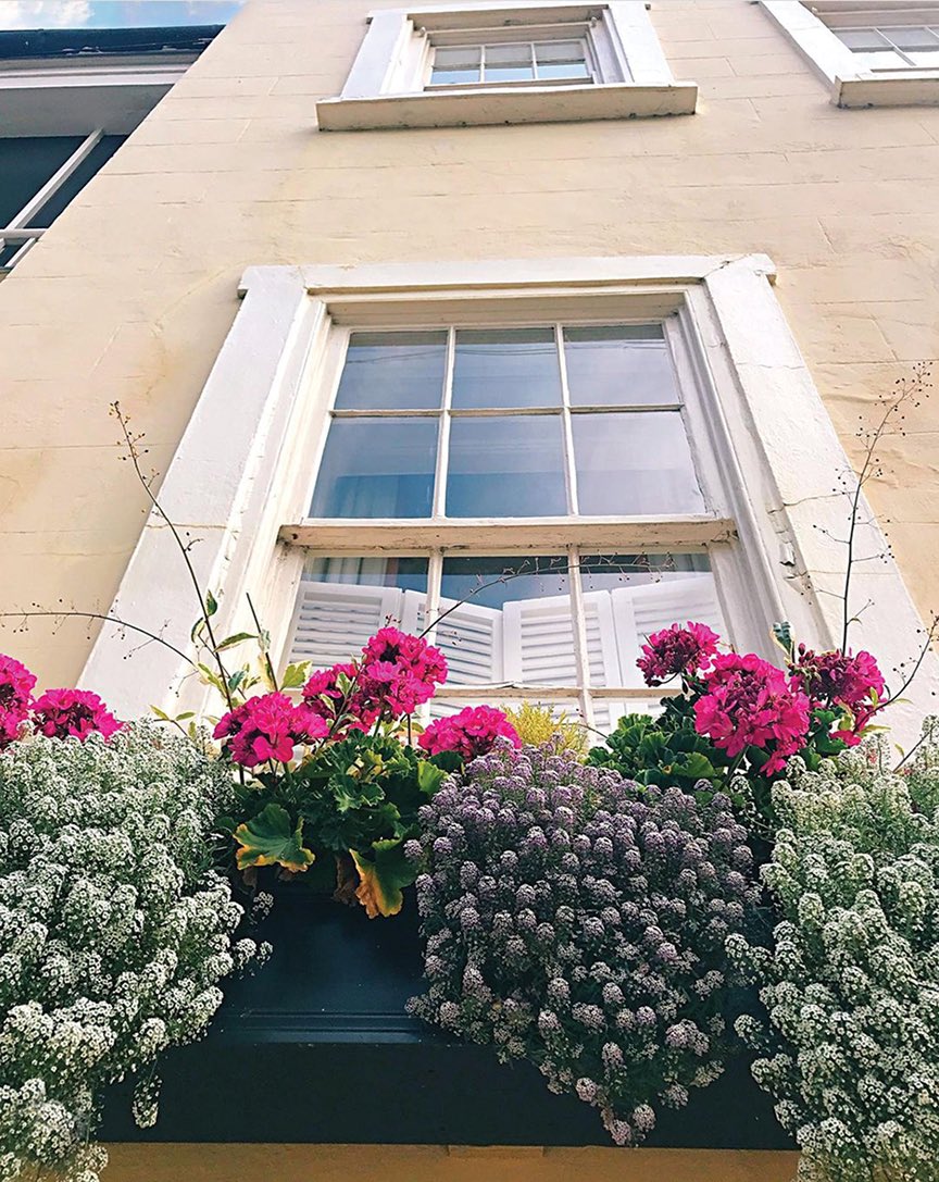 Congrats! @astevensphoto has been selected as our last finalist for our #ChasMagWindowBoxes #PhotoContest presented by @dunesproperties. Stay tuned for voting details. 📷: @astevensphoto #ChasMagWindowBoxes #PhotoContest #Charleston #springincharleston #lowcountryliving
