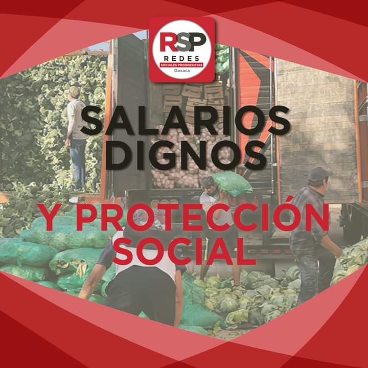 RSP_Oaxaca's tweet photo. 🔴 Buscamos que las presentes y nuevas generaciones se capaciten para combatir las cifras de informalidad y desempleo en #OAXACA   

#RSPTodosSomosUno #RSPOaxaca #SanarAMéxico #SanarAOaxaca https://t.co/juPtU2vrse
