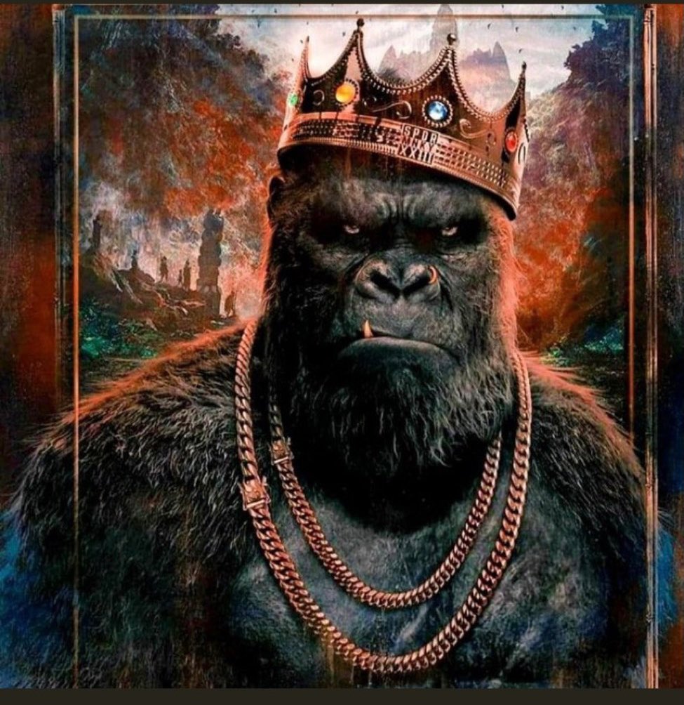 <a href="/FEGtoken/">FEG (Feed Every Gorilla)</a>