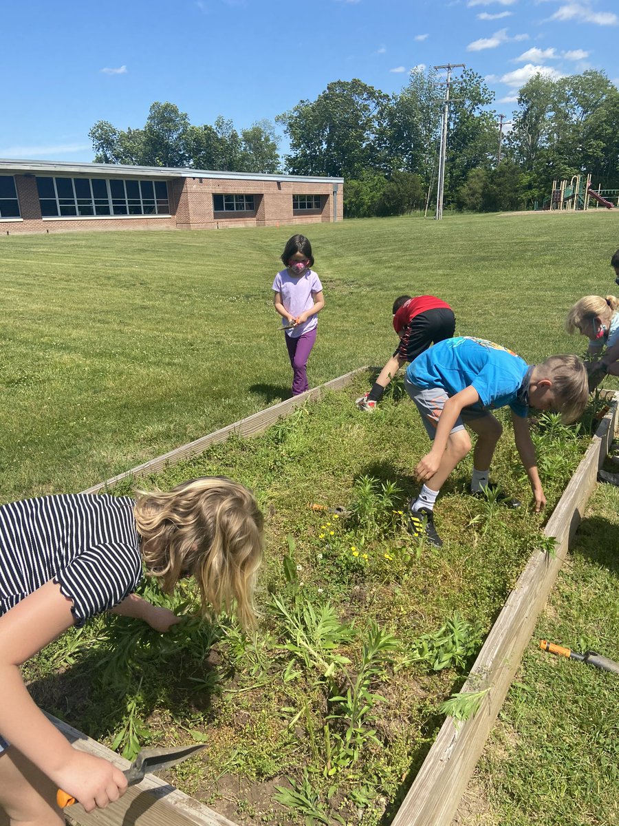 msbrownwes3's tweet photo. We had lots of fun preparing our gardens for planting! 🪴🌱#WEStandTogether https://t.co/M40MloJzXC