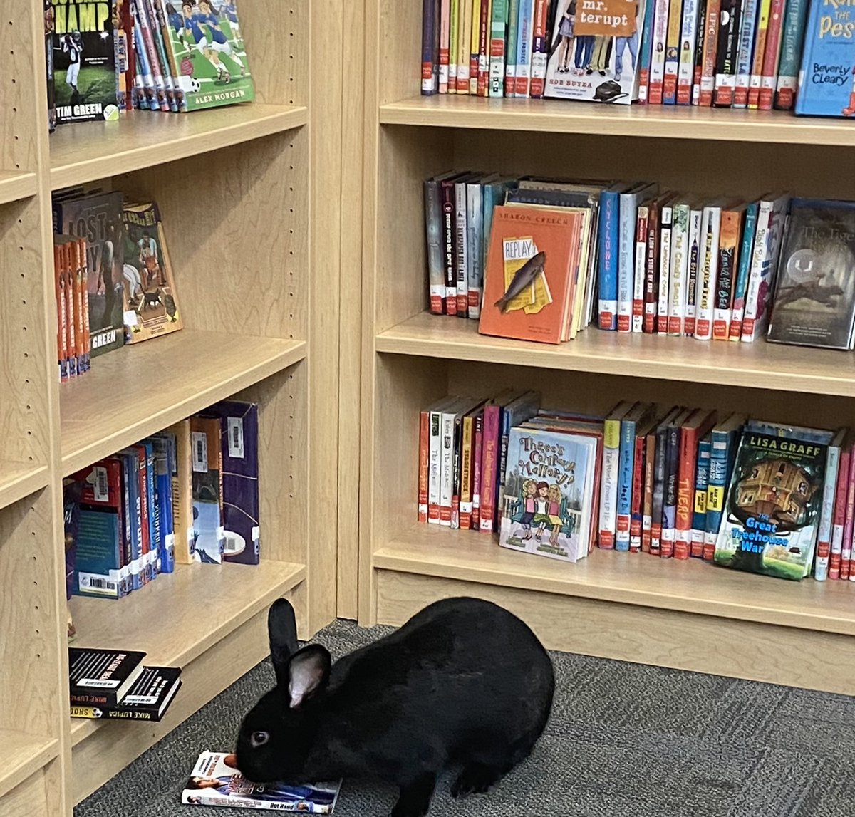 Mrs. Ann Bishop tweet media