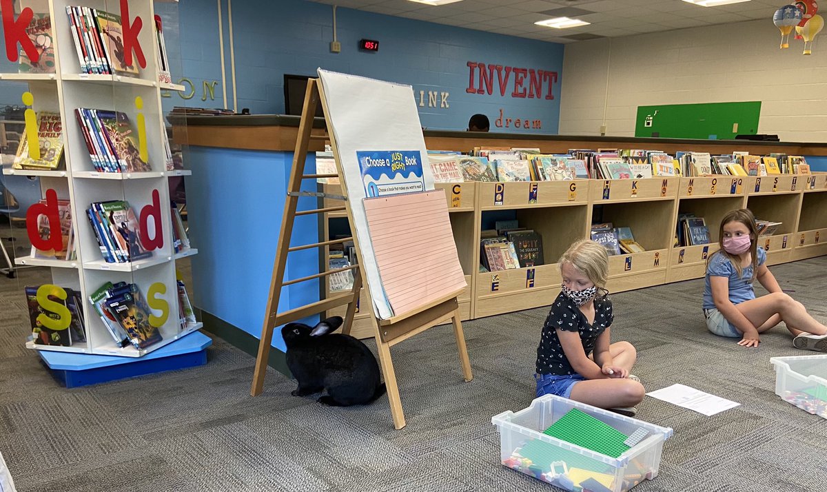 Mrs. Ann Bishop tweet media