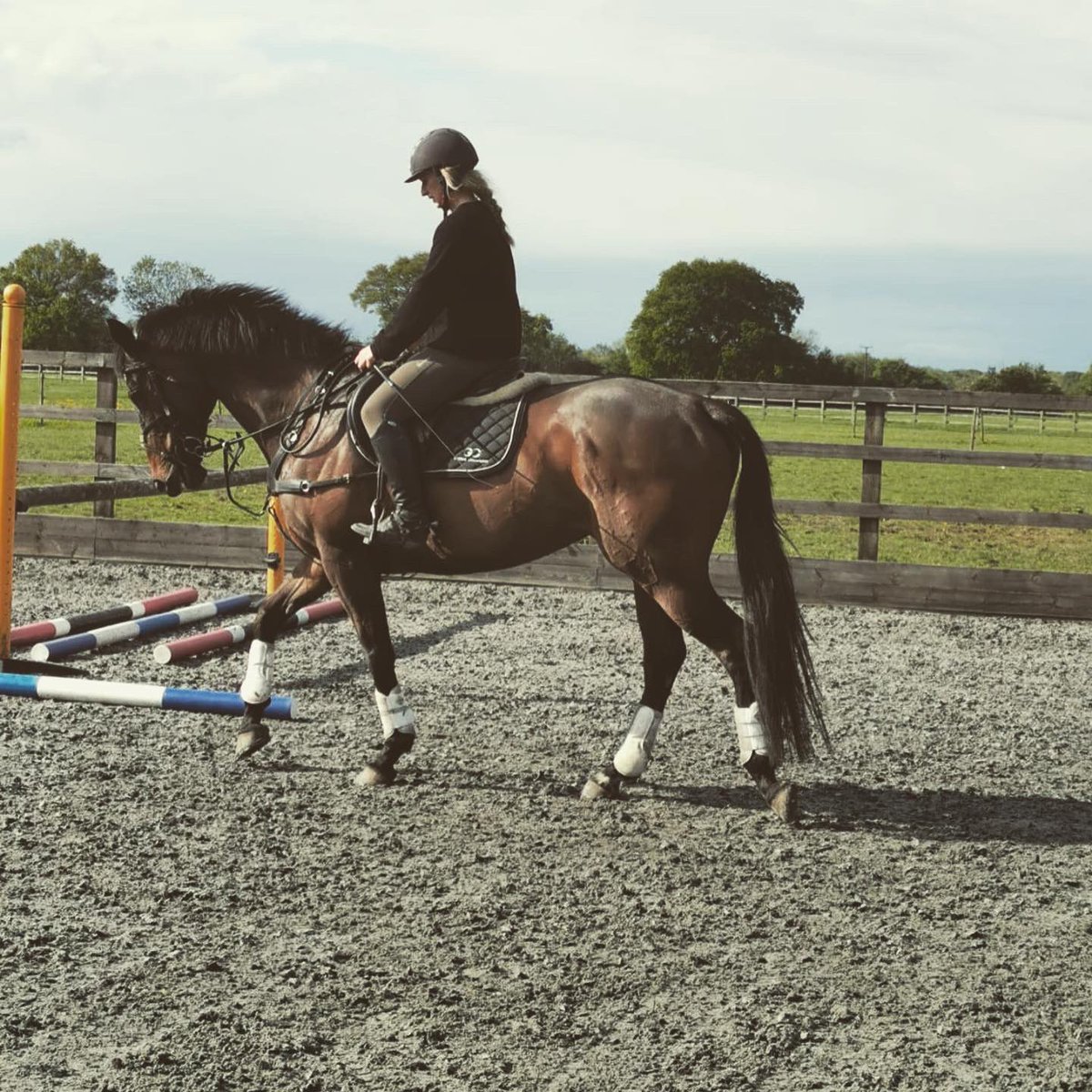 Lizzie Stunt tweet media