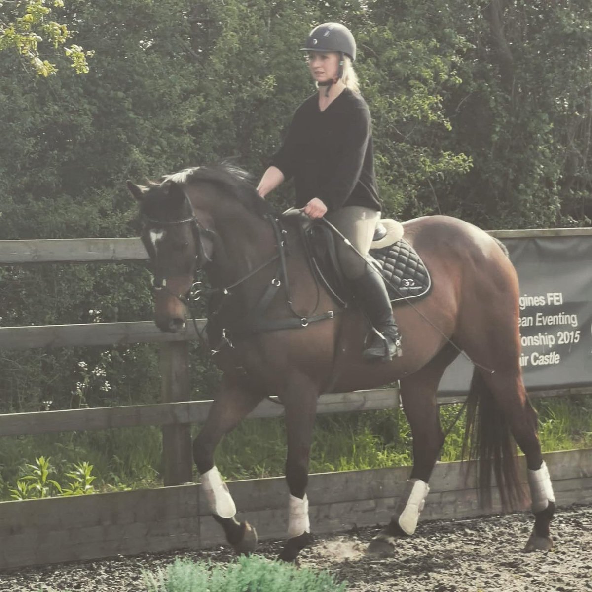 Lizzie Stunt tweet media