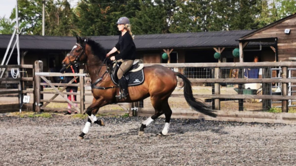 Lizzie Stunt tweet media