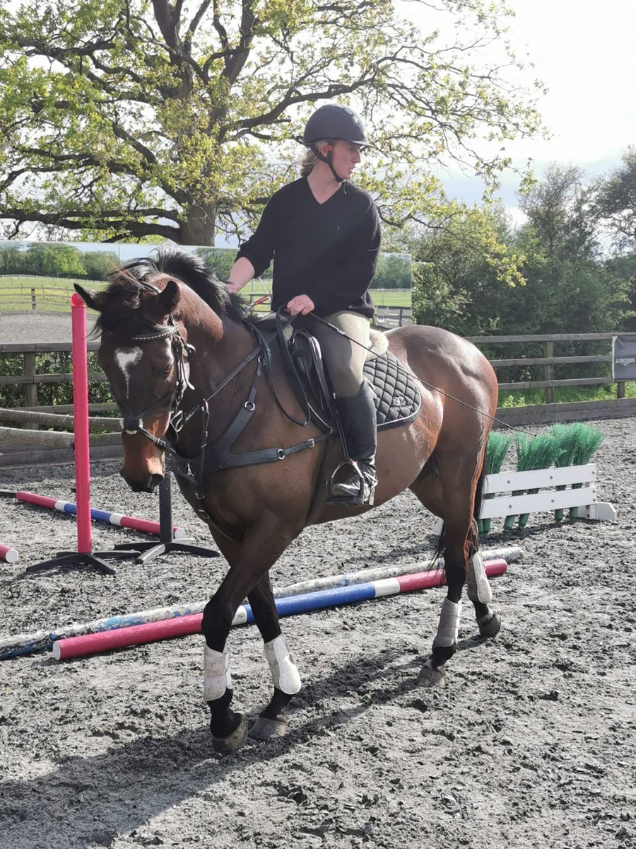 Training... training... training!! As the world unlocks we can get this lot out again! #stuntequestrian