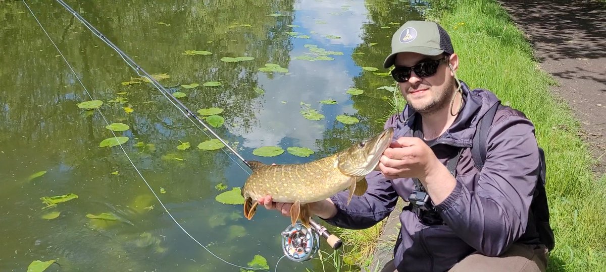EUAngler's tweet photo. #flyfishingforpike #pike #flyfishingaddict only one but mint looking fish were caught on the fly while walking with familly ! 💪🎣 https://t.co/OUbUOwLYTN