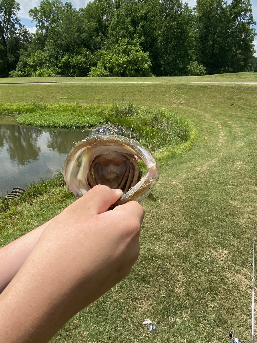 Just Caught my PB largemouth today while fishing was greatly excited to get this one today!! <a href="/googan_squad/">Googan Squad</a> <a href="/BassProShops/">Bass Pro Shops</a>