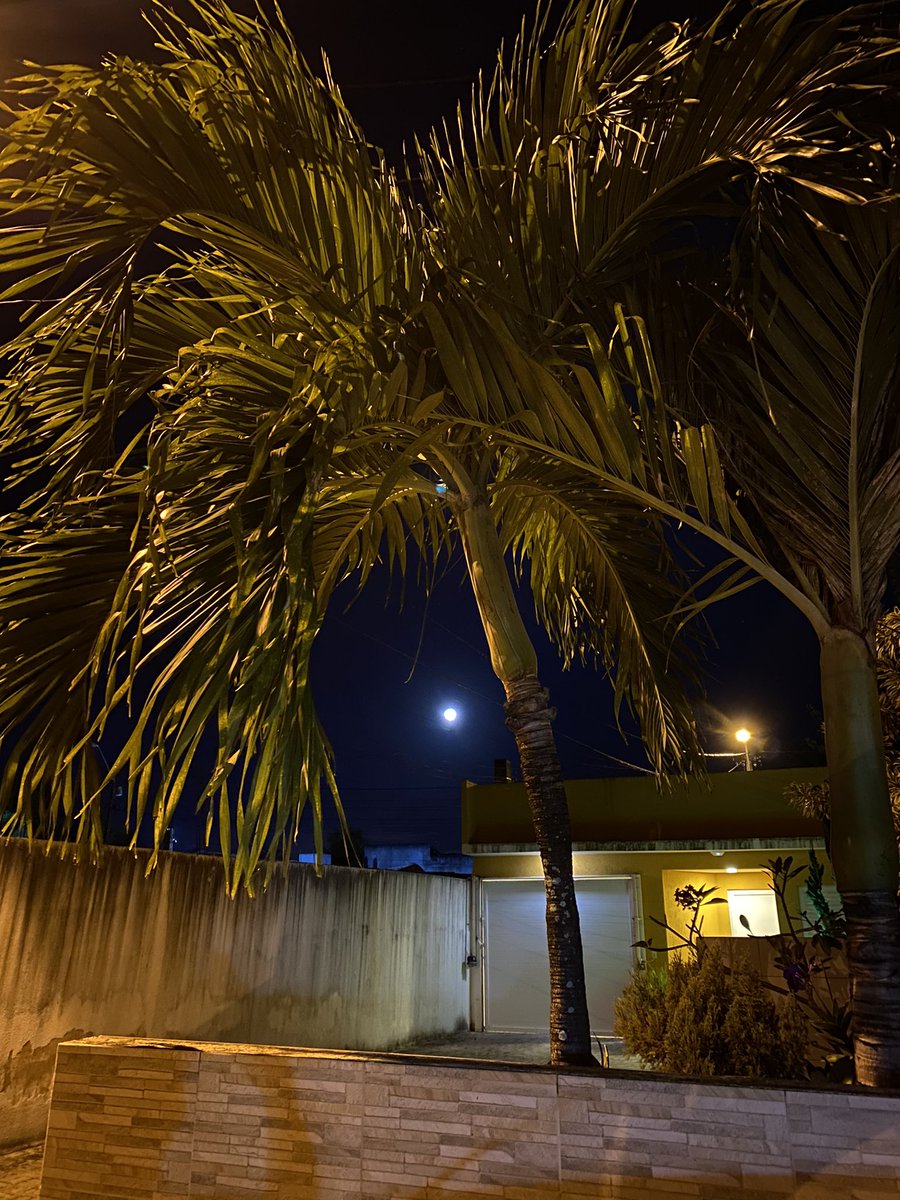dancamposoliver's tweet photo. #superlua https://t.co/a6oZdVpZmR