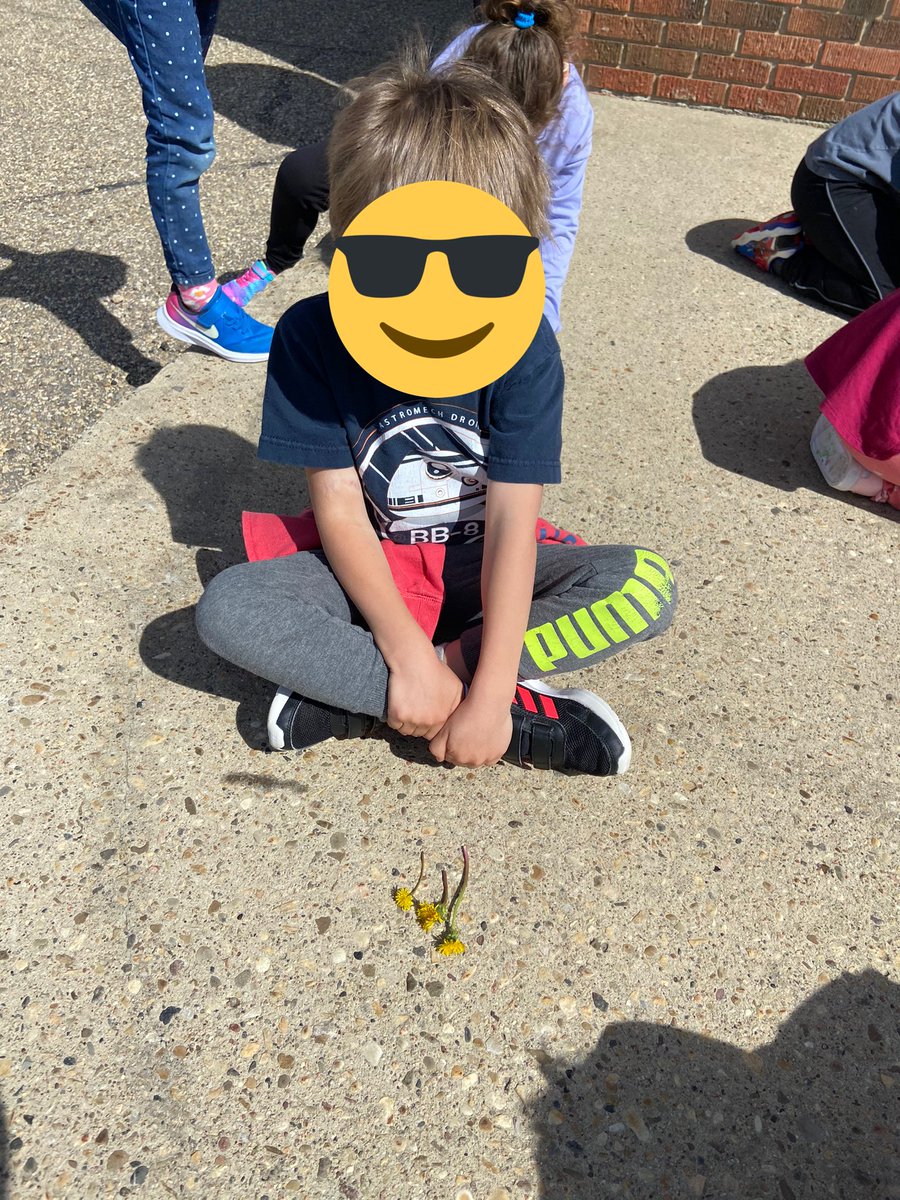 Pick 3 dandelions and put them in order from tallest to shortest. We love taking our math lessons outside <a href="/EJSMSchool/">Ecole J S McCormick</a>