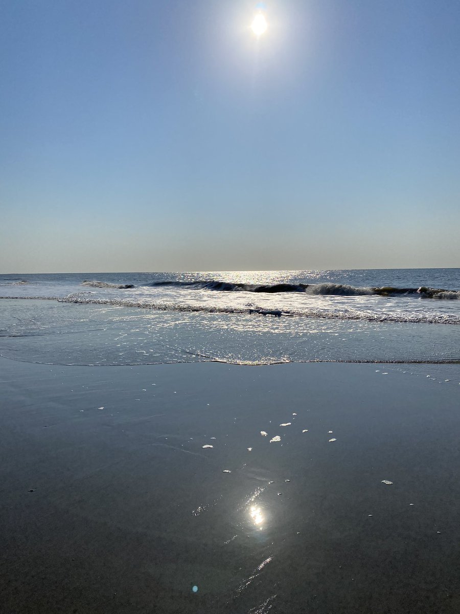 GinaCLynn's tweet photo. Some beach, some where. @hiltonheadsc https://t.co/CCgvDuJOsG
