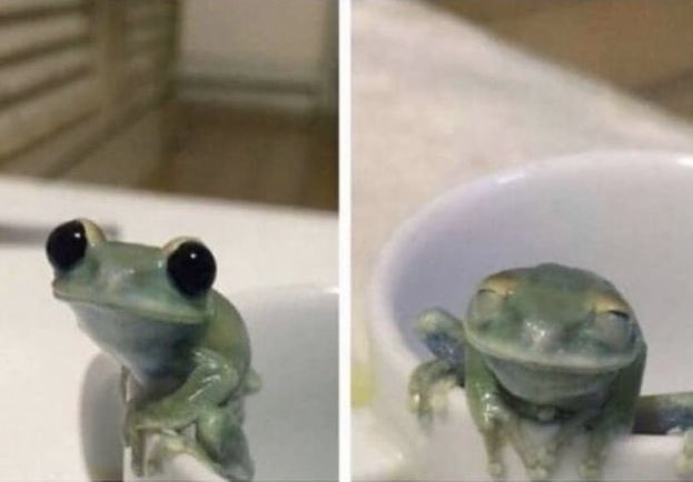 RawgabbitRabbit tweet media