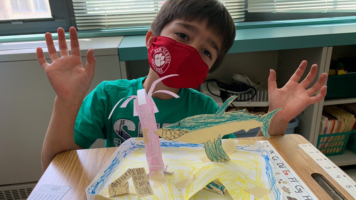elmd181's tweet photo. Thanks to the @d181foundation Elm first graders planned and built amazing animal habitats using paper engineering. #gotSTEM #d181proud @CCSD181 https://t.co/IsrgsE54zM
