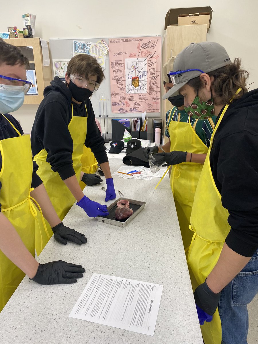 Showing our ❤️for science with heart  dissections in science 14 today! The kids were pumped! <a href="/SABCatholic/">St. André Bessette</a> <a href="/EICSCatholic/">Elk Island Catholic Schools</a>