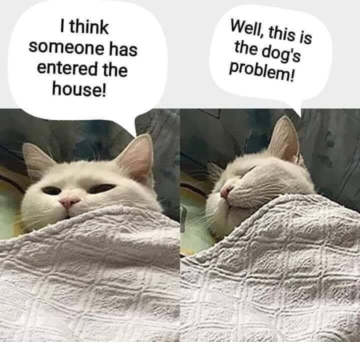 <a href="/TravisAllen02/">Travis Allen</a>