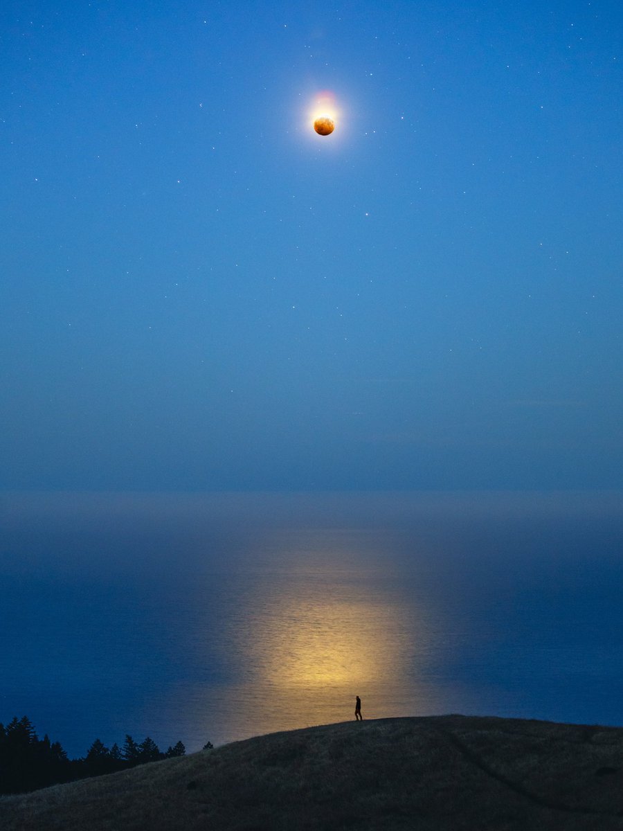 CodyMayer22's tweet photo. Another eclipse photo, this time at blue hour https://t.co/Ik80LzVV2A