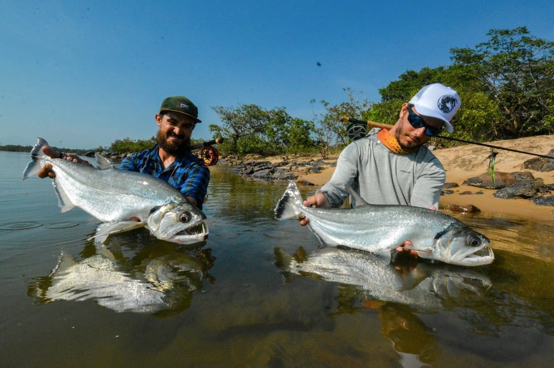 Xingu Lodge tweet media