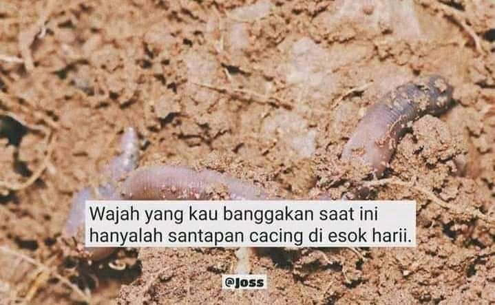 Nur Ade Novifah tweet media