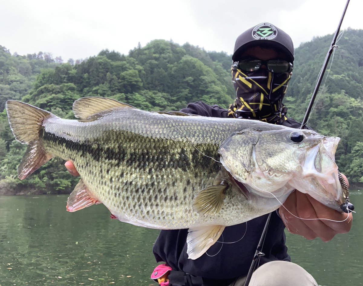 Shunsuke ここ最近の魚切ダムでの釣果 水温も低く 季節の進行が遅いからこそ良い魚を狙えます いつもお世話になっている U5rt7fjm1teysqu さんから魚切ダムは分ほどで着くので オススメです Duel T7 アルプスコーポレーション 安佐南区