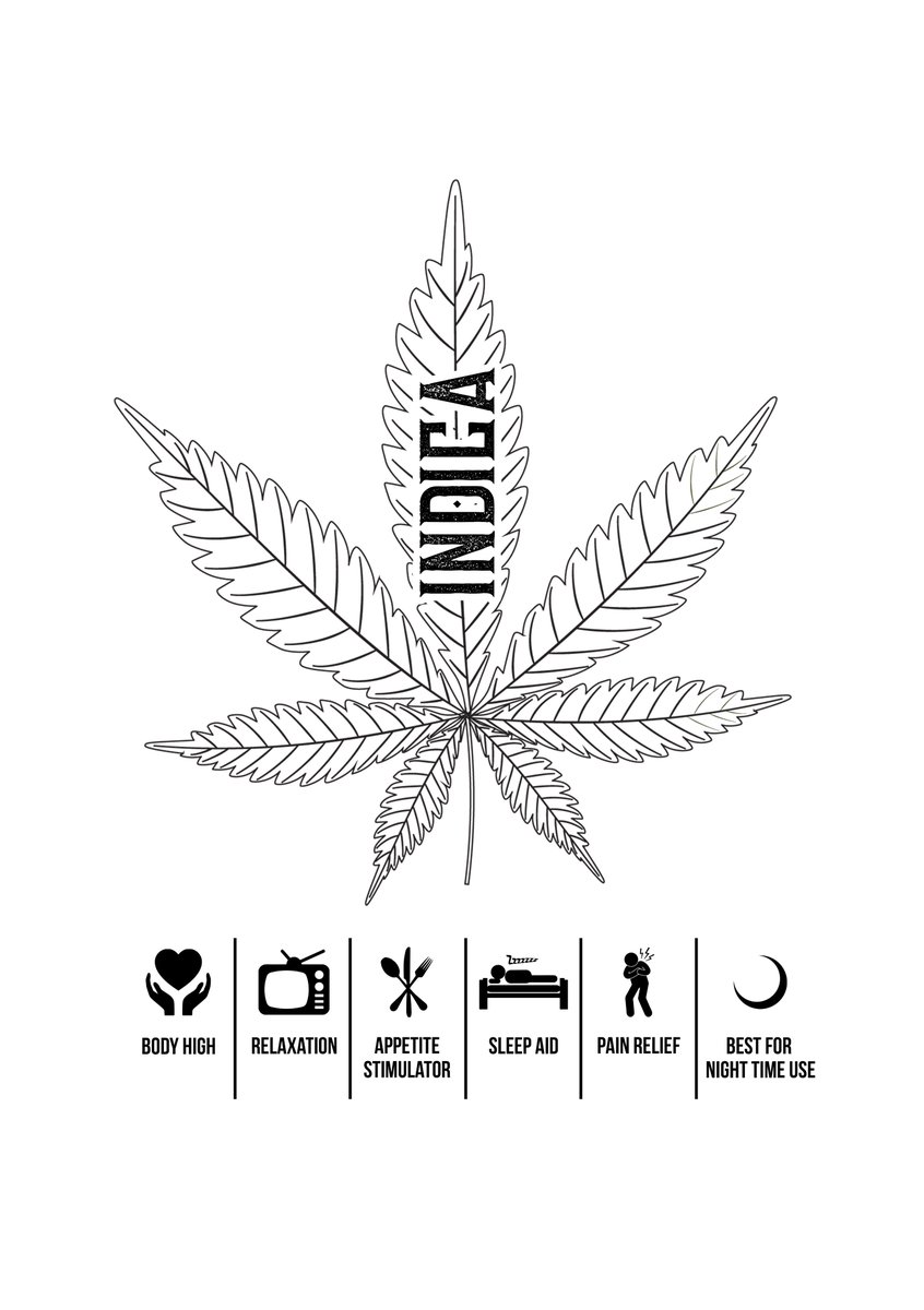 strainwisepr's tweet photo. Now that we have approval to open, whats your preference? https://t.co/ros9i9IA1B