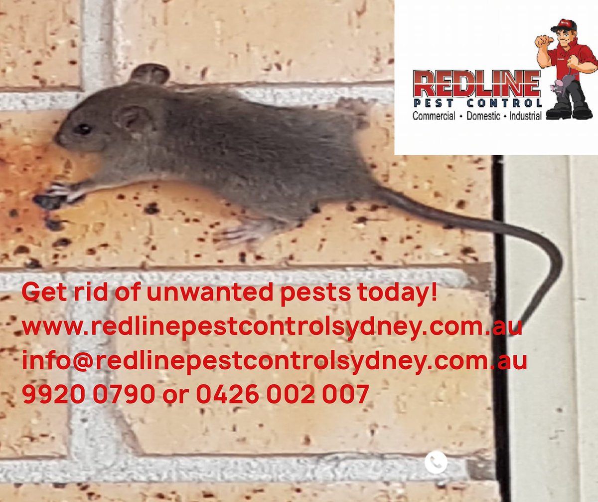 redlinepest's tweet photo. Do you have mice and rats trying seek shelter from the cold?
We have exclusive packages for the month of June.
What are you waiting for? Call us today on 9920 0790 or 0426 002 007 for your free no obligation quote. https://t.co/tDfQARwyEr