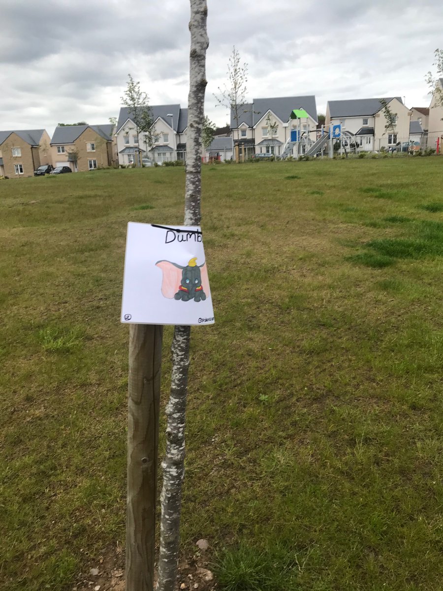 stdavidsparentc's tweet image. What characters can you find while walking? Pupils @stdavidsprimary have made some excellent drawings of your favourite characters to find. Happy walking!