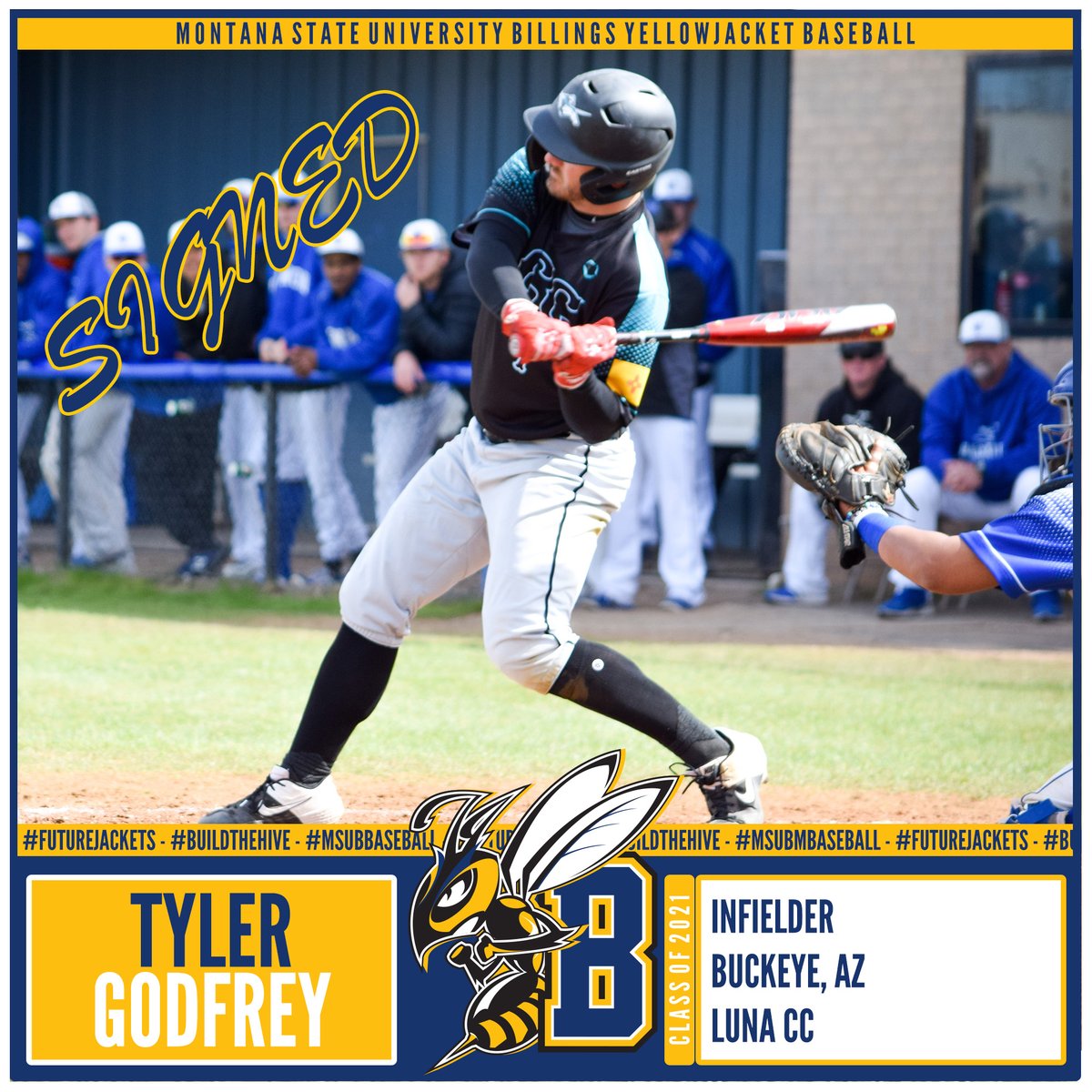 MSUB Sports tweet media