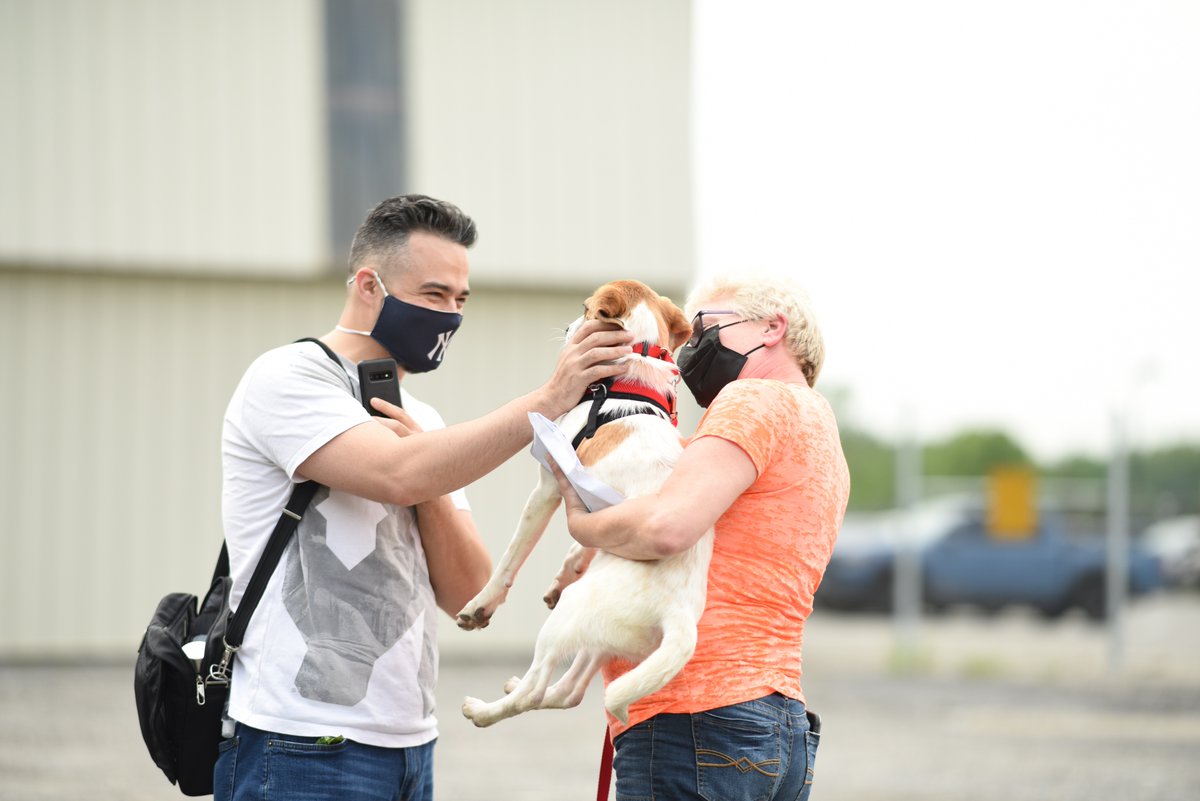 TheSatoProject's tweet photo. Here are a few more of the magic moments that we live for! Thank you to photographer Alexandra Lloyd for capturing these beautiful photos of our satos meeting their new families for the very first time at the airport.
#MissionPossible13 #FreedomFlight #Rescue #dogs https://t.co/wHxQCa6ZNp