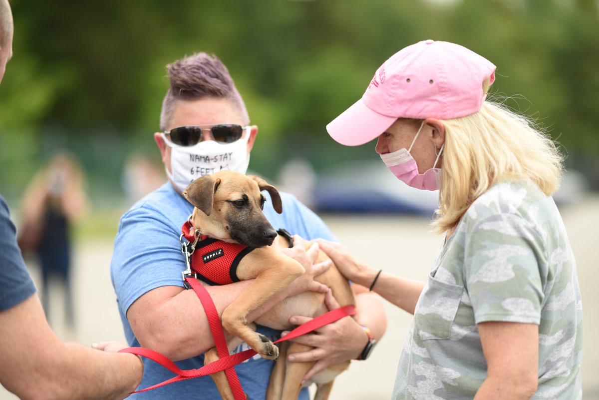 TheSatoProject's tweet photo. Here are a few more of the magic moments that we live for! Thank you to photographer Alexandra Lloyd for capturing these beautiful photos of our satos meeting their new families for the very first time at the airport.
#MissionPossible13 #FreedomFlight #Rescue #dogs https://t.co/wHxQCa6ZNp