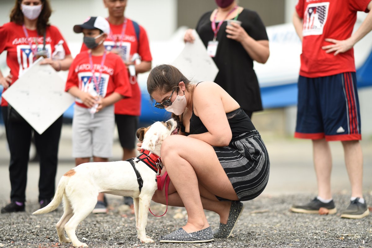 TheSatoProject's tweet photo. Here are a few more of the magic moments that we live for! Thank you to photographer Alexandra Lloyd for capturing these beautiful photos of our satos meeting their new families for the very first time at the airport.
#MissionPossible13 #FreedomFlight #Rescue #dogs https://t.co/wHxQCa6ZNp