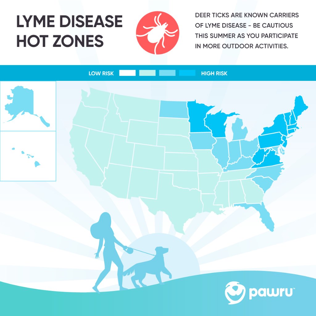 May is #LymeDiseaseAwarenessMonth. Lyme disease cases increase from May through August due to a high risk of tick bites – so be sure to protect your pet with daily tick checks and preventative meds. Check out this map to see which U.S. States are at higher risk for Lyme disease.
