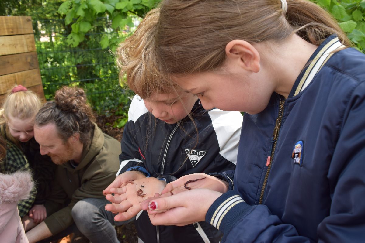 Nieuwsbrief mei: 
Toffe Tuinen route, Wormenhotels013 en Tegelwippers in Tilburg > Wat vinden jullie er van? 💚 #samengroendoen in #TilburgNatuurlijk!!! mailchi.mp/52ef6426da3e/t…