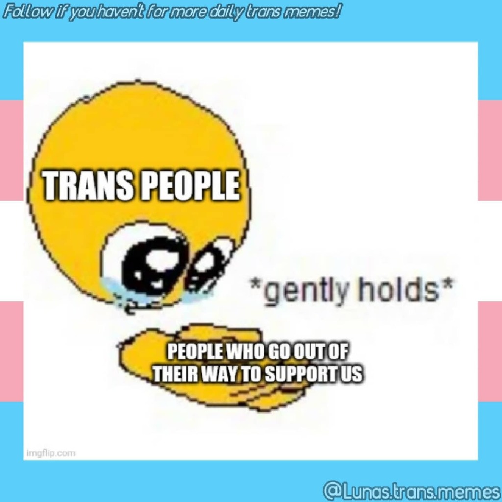 SophsTransMemes's tweet photo. New meme on the gram! 
>https://t.co/X6l1QG5cvv<

I LOVE PEOPLE WHO DO THIS. YOU ARE GREAT THANK YOU SO MUCH :)))

Follow for more trans memes! <3

#trans #transmemes #transmemesforsadteens #lgbtqmemes #lgbtq #transgendermemes #mtfmemes #ftmmemes #enbymemes #mtf #ftm #… https://t.co/2JwFk1pv5T