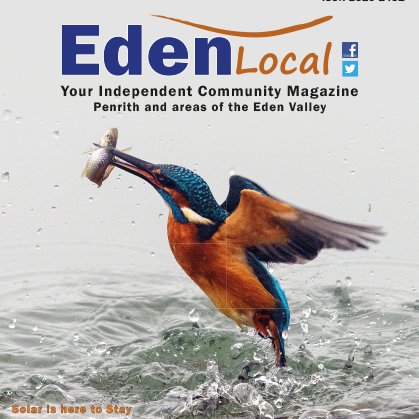 CumbrianLocal's tweet image. Now in print and back in less that 7 days, to start delivery. 

Now online issuu.com/edenlocal/docs… 

#community #local  #Kingfisher #recycle #free #Eden #penrith #cumbria #doortodoor #magazine #wildlife #cumbrianlocal #rspb