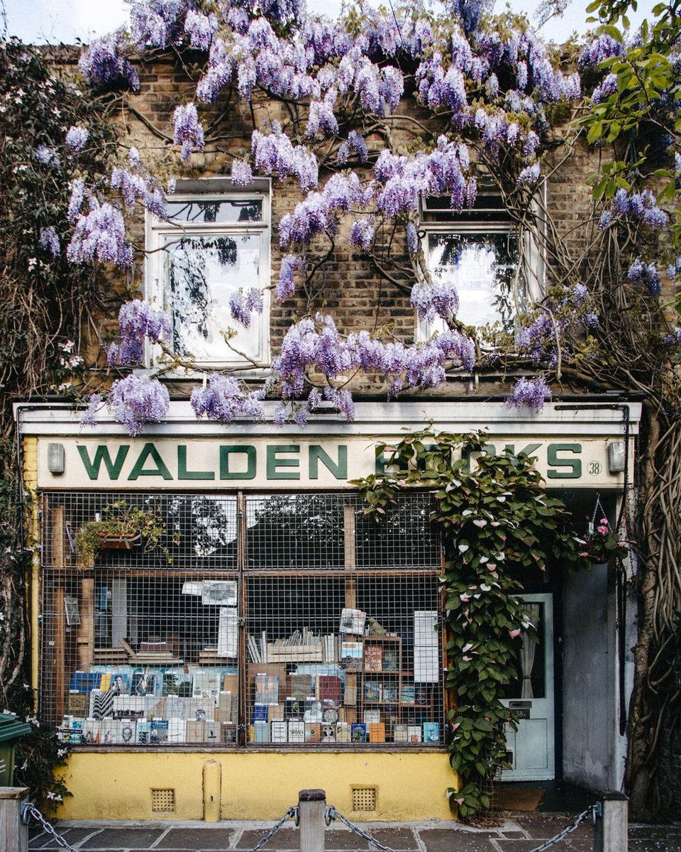 Finally getting to see some wisteria outside of kensington & chelsea this spring!

#outside #flowers #outdoors #trees #boomstore #bookshop #booknerd #bookishfeatures #library #booklovers #booklove #kohamczytac #book #literature #booklove #reading